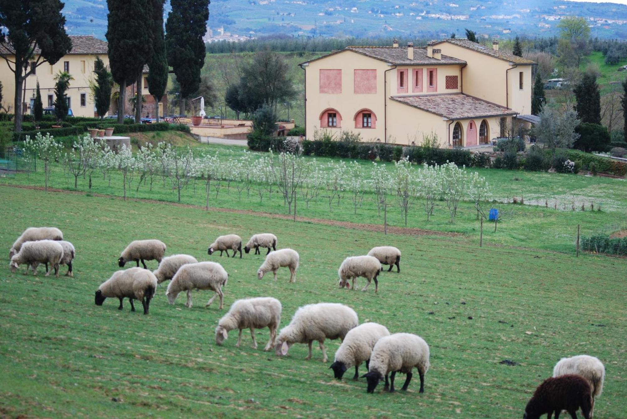 Agriturismo Fattoria Rozzalupi Cerreto Guidi Ngoại thất bức ảnh