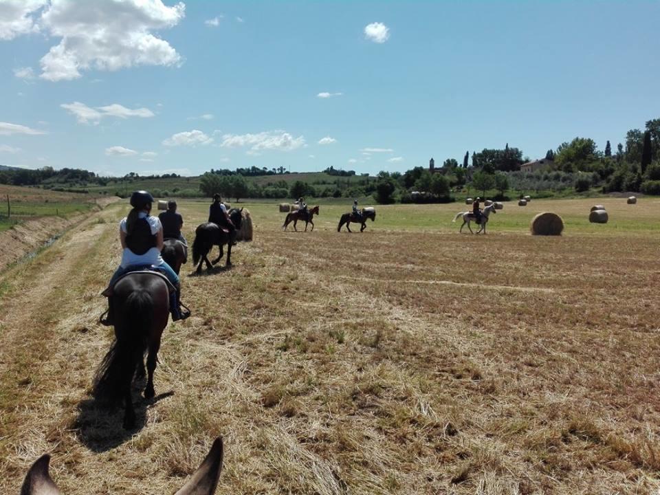Agriturismo Fattoria Rozzalupi Cerreto Guidi Ngoại thất bức ảnh